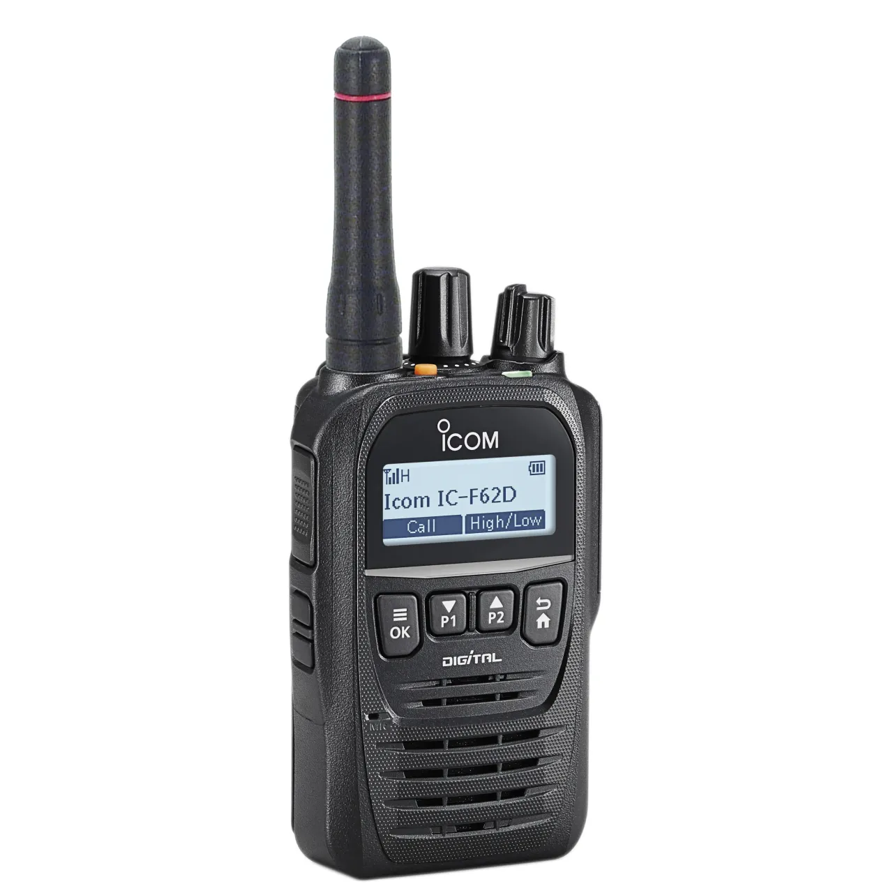 IF-F62DM Portatifs - ICOM