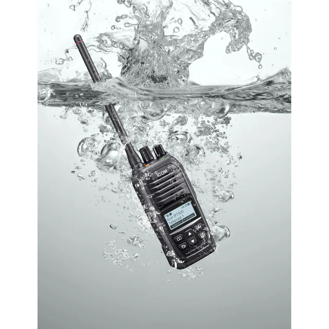 IP730D SERIE  - ICOM