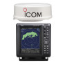 Image 0 - ICOM